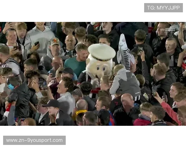 球迷狂欢：疯狂应援背后的动人故事，疯狂球迷冲进球场