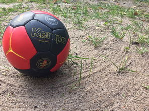 九游网页官网-中国篮球推动青少年比赛规则标准统一促进公平竞争，篮球青少年联赛