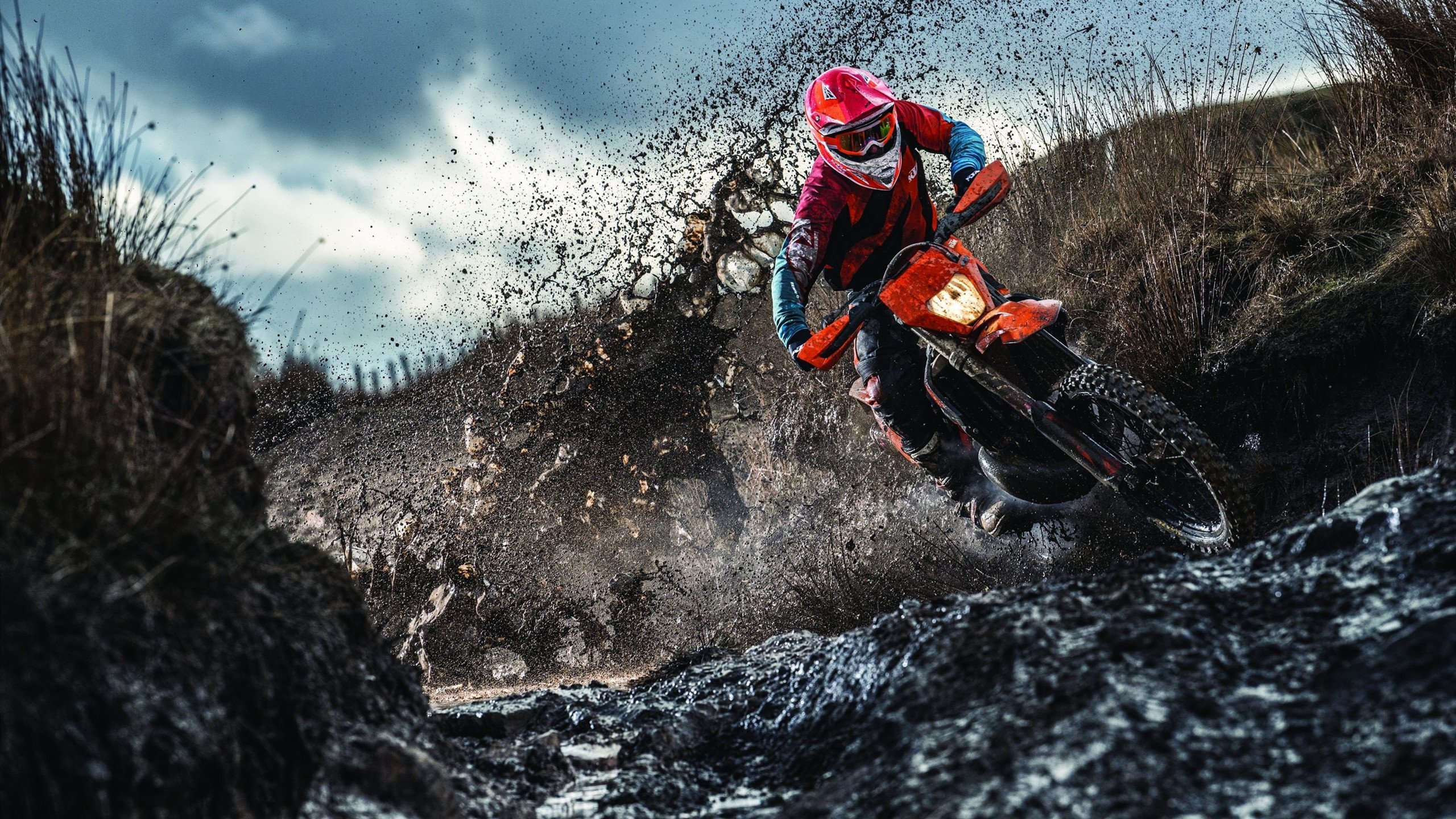 卡特的精准罚球与出色视野,成全黑队的必胜法宝,卡特进球视频