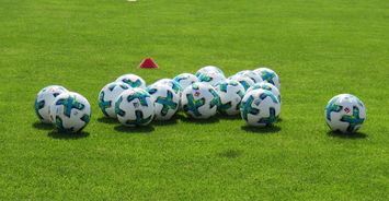 九游娱乐app官网-中国足球运动员营养健康研究，作为国家足球队的营养师